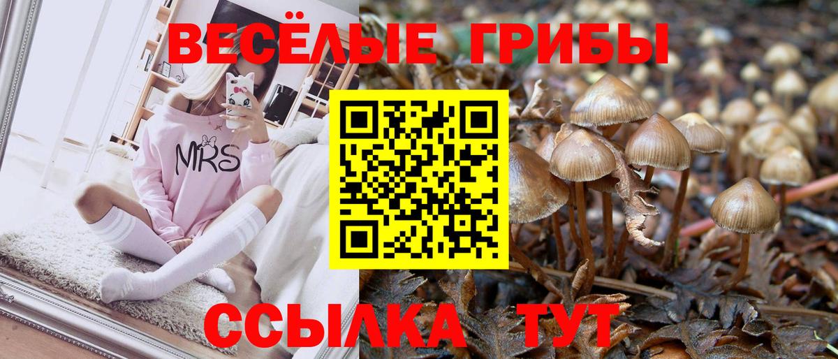 Галлюциногенные грибы Magic Shrooms Рославль
