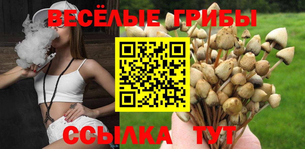 Псилоцибиновые грибы мицелий  Вход с VPN  цены наркотик  Рославль 